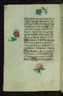 W.427, fol. 216v