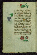 W.427, fol. 217v