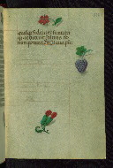 W.427, fol. 218r