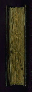 W.433, Fore-edge