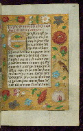 W.434, fol. 22r