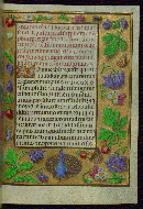 W.441, fol. 23r
