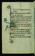W.45, fol. 44v