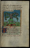 W.463, fol. 108r