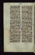 W.51, fol. 243v