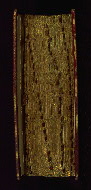 W.51, Fore-edge