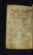 W.522, fol. 229v
