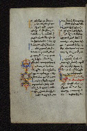 W.546, fol. 117v
