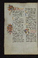 W.546, fol. 124v