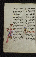 W.546, fol. 163v