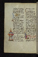W.546, fol. 205v