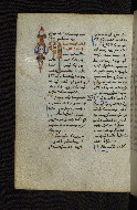 W.546, fol. 229v