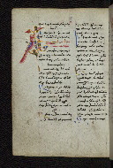 W.546, fol. 242v