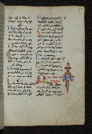 W.546, fol. 254r
