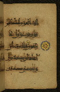 W.555, fol. 21b