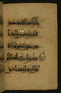 W.555, fol. 22b
