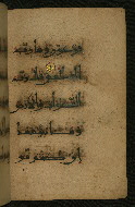 W.555, fol. 24b