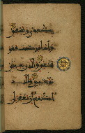 W.555, fol. 36b