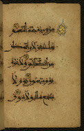 W.555, fol. 37b