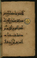 W.555, fol. 43b