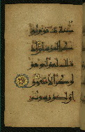 W.555, fol. 51a