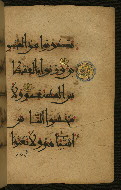 W.555, fol. 55b