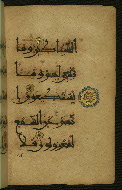 W.555, fol. 61b