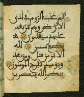 W.556, fol. 11b
