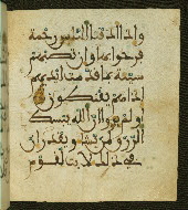W.556, fol. 20b