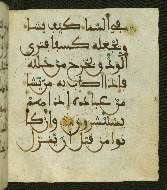 W.556, fol. 24b