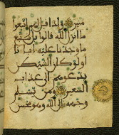 W.556, fol. 33b