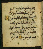 W.556, fol. 81a