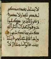 W.556, fol. 81b