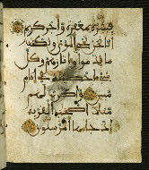 W.556, fol. 101b