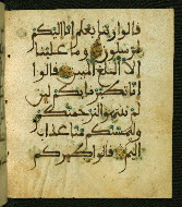 W.556, fol. 102b