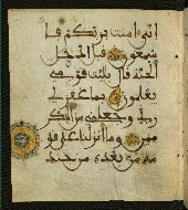 W.556, fol. 104a