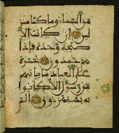 W.556, fol. 104b