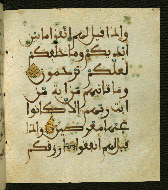 W.556, fol. 107b