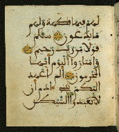 W.556, fol. 110a