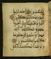 W.556, fol. 111a