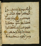 W.556, fol. 111b