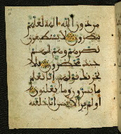 W.556, fol. 113a