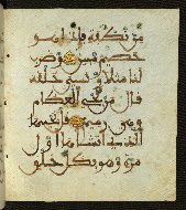 W.556, fol. 113b