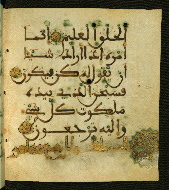 W.556, fol. 114b