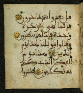 W.556, fol. 117a