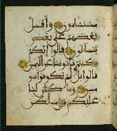 W.556, fol. 118a