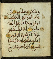 W.556, fol. 121b