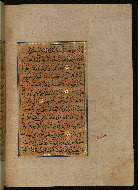 W.559, fol. 14b