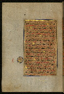 W.559, fol. 24a