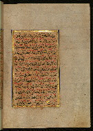 W.559, fol. 95b